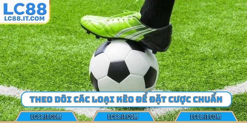 Theo dõi các loại kèo để đặt cược chuẩn